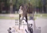 Avi-mp4-走马-陈粒-DJ小嘉-车载美女写真视频