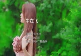 Avi-mp4-牛在飞-张冬玲-DJ7叔-车载美女写真视频