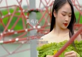 Avi-mp4-黄梅戏-慕容晓晓-DJHouse-车载美女写真视频