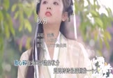Avi-mp4-秋分-玺晨-DJ京仔-车载美女写真视频