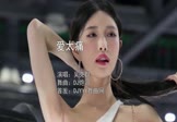 Avi-mp4-爱太痛-吴克群-DJ炮哥-车载美女车模视频