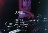 Avi-mp4-人间烟火-王馨-DJ默涵-车载夜店DJ视频