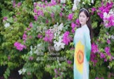 Avi-mp4-风雨无阻-半吨兄弟-DJHouse-车载美女写真视频