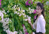 Avi-mp4-心动的惩罚-王超然-ZiPingH-车载美女写真视频