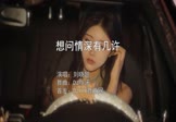 Avi-mp4-想问情深有几许-刘晓超-DJ默涵-车载美女写真视频