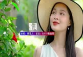 Avi-mp4-爱河-蒋雪儿-DJ庸仔-车载美女写真视频