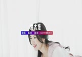 Avi-mp4-爱太难-葛林-DJ阿福-车载美女写真视频