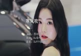 Avi-mp4-寒风吹-乔玲儿-DJ京仔-车载美女车模视频视频