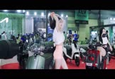 Avi-mp4-来生愿做一朵莲-魏新雨-DJ版-车载美女车模视频