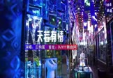 Avi-mp4-天若有情-云狗蛋-DJ小麒-车载夜店DJ视频