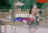 Avi-mp4-敬不到来日方长-赵乃吉-DJ文少-车载美女写真视频