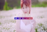 Avi-mp4-伤了心的女人怎么了-孙露-DJ京仔-车载美女写真视频