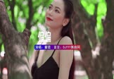 Avi-mp4-偏偏-童珺-DJR7-车载美女写真视频
