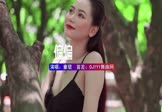 Avi-mp4-偏偏-童珺-DJR7-车载美女写真视频