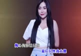 Avi-mp4-只怪我太傻图个心安理得-侯泽润-DJ阿本-车载美女DJ打碟视频