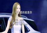 Avi-mp4-今生爱的就是你-杨春辉-DJ版-车载美女车模视频