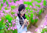 Avi-mp4-半生春秋-糯米Nomi-DJHouse-车载美女写真视频