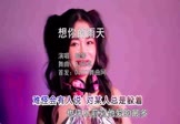 Avi-mp4-想你的雨天-韩策-DJ阿卓-车载美女DJ打碟视频