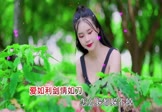 Avi-mp4-爱如利剑情如刀-魏佳艺-DJ沈念-车载美女写真视频
