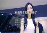 Avi-mp4-别把疼你的人弄丢了-雨宗林-DJcandy-车载美女车模视频