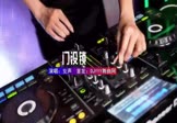 Avi-mp4-门没锁-女声-DJHouse-车载美女DJ打碟视频