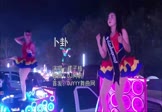Avi-mp4-卜卦-崔子格-DJ阿帆-车载美女热舞视频