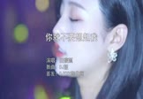 Avi-mp4-你就不要想起我-田馥甄-DJ版-车载夜店DJ视频