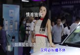 Avi-mp4-情难独钟-吴姗姗-DJAilward-车载美女车模视频