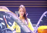 Avi-mp4-残酷-易欣-DJ版-车载美女车模视频
