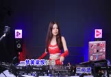 Avi-mp4-一趟人间三两酒-魏佳艺-DJR7-车载美女DJ打碟视频