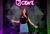 Avi-mp4-一万个舍不得-庄心妍-DJ刚仔-车载美女DJ打碟视频