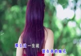 Avi-mp4-我生来自由-王一佳-DJ阿本-车载美女写真视频