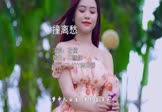 Avi-mp4-撞离愁-花僮-DJ默涵-车载美女写真视频