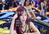 Avi-mp4-至少还有你-林忆莲-DJ版-车载美女车模视频