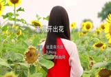 Avi-mp4-离别开出花-就是南方凯-DJHong-车载美女写真视频