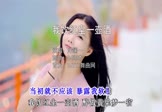 Avi-mp4-我饮红尘一壶酒-洋澜一-DJ阿本-车载美女写真视频