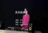 Avi-mp4-风中的承诺-女声-DJ方杰-车载美女DJ打碟视频