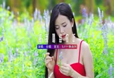 Avi-mp4-想把我唱给你听-合唱-DJHouse-车载美女写真视频