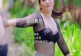 Avi-mp4-漠河舞厅-柳爽-DJ车载-车载美女跳舞视频