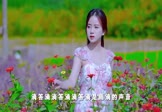 Avi-mp4-是想你的声音啊-女声-DJHouse-车载美女写真视频