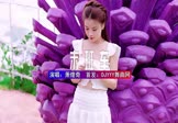 Avi-mp4-末班车-萧煌奇-DJHouse-车载美女写真视频