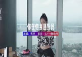 Avi-mp4-你在他乡还好吗-男声-DJHouse-车载美女DJ打碟视频