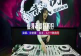Avi-mp4-做我老婆好不好-徐誉滕-DJ车载-车载美女DJ打碟视频