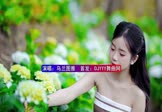 Avi-mp4-阿尔山的姑娘-乌兰图雅-DJHouse-车载美女写真视频