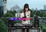 Avi-mp4-心安理得-女声-DJHouse-车载美女DJ打碟视频