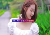 Avi-mp4-小芳-男声-DJHouse-车载美女写真视频