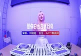 Avi-mp4-想你的话告诉月亮-刘晓超-DJHouse-车载美女DJ打碟视频