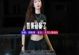Avi-mp4-如果寂寞了-郑晓填-DJHouse-车载美女DJ打碟视频