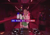 Avi-mp4-绿色-陈雪凝-DJ车载-车载美女DJ打碟视频