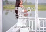 Avi-mp4-特别的爱给特别的你-苏三-DJ版-车载美女写真视频